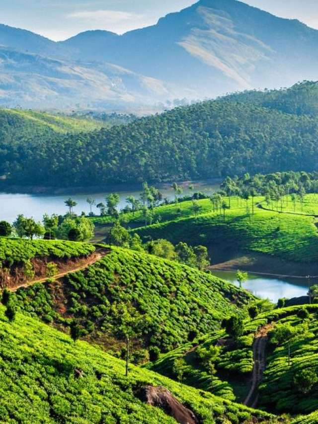 Stories 2 Top 10 Must Visit Places In Munnar