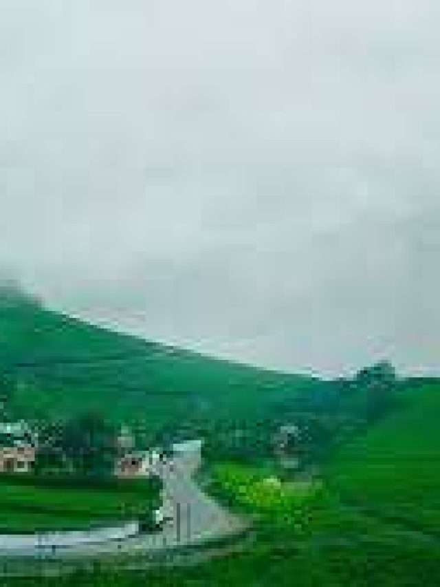 Stories 5 Top 10 Must Visit Places In Ooty