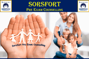 Sorsfort International School 4 Sorsfort International School