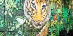 Tight Tiger Resto Pub Marathahalli