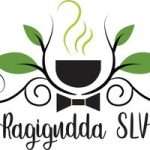 SLV Ragigudda Veg Restaurant J P Nagar