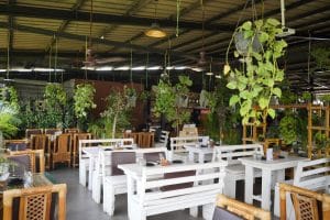 Oyster Bar and Kitchen Rooftop Restaurants in HSR Layout