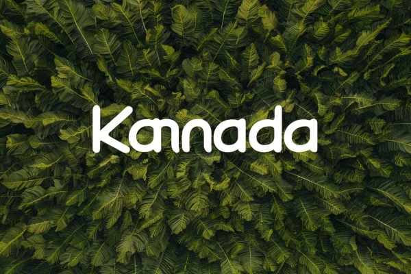Common Kannada Words & Their Meanings
