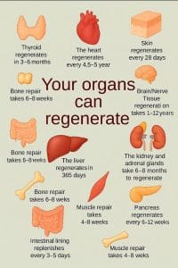 Shenoys Healthcare Solutions