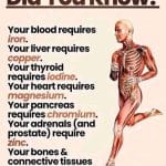 Shenoys Healthcare Solutions 4 WhatsApp Image 2025 06 17 at 8.51.57 PM