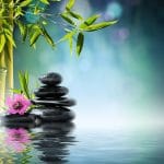 flower water stones bamboo wallpaper preview 1