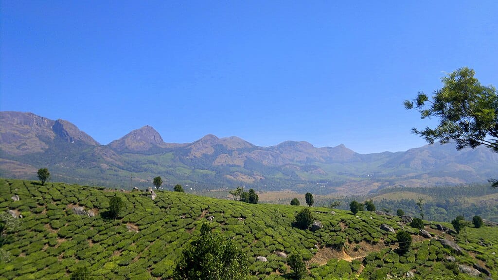 munnar height from sea level, munnar elevation, munnar altitude, munnar height in meters,