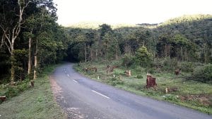 Munnar Height From Sea Level – Elevation Guide, Peaks, Climate & Travel Info