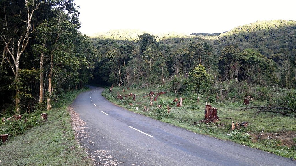 Munnar Height From Sea Level – Elevation Guide, Peaks, Climate & Travel Info