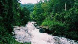Wayanad Height From Sea Level: Elevation, Peaks, Climate & Travel Guide
