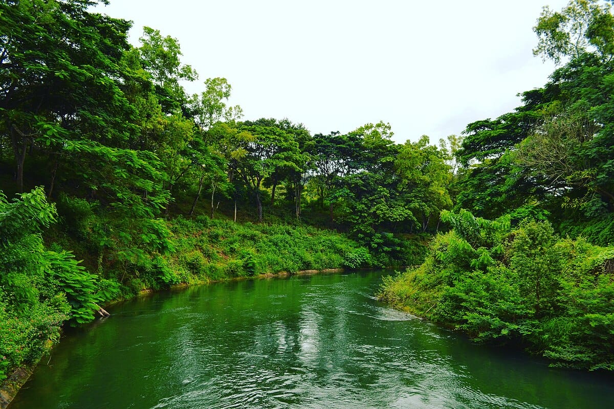 coorg height from sea level, coorg elevation, coorg altitude, kodagu height from sea level, coorg height in meters, coorg height in feet,